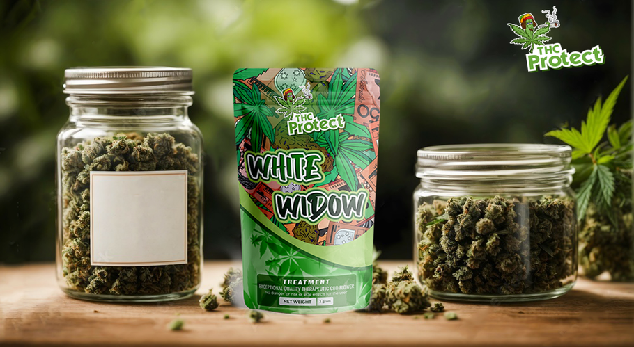 White Widow CBD: Onko se suosituin CBD-kukka?