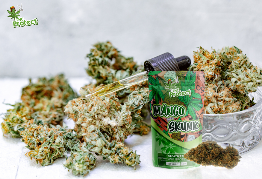 Tutustu Mango Skunk CBD -kukan poikkeukselliseen tehoon